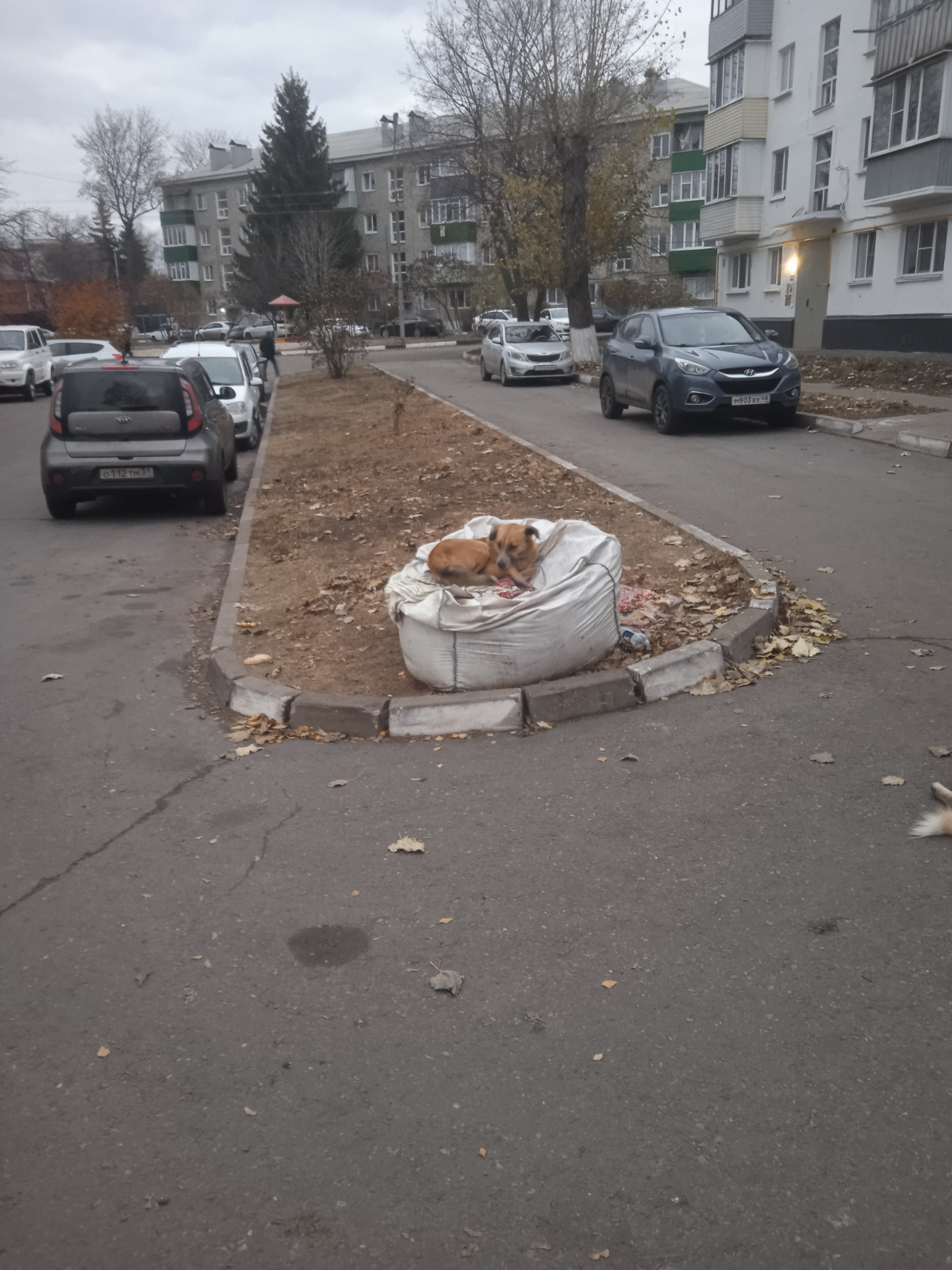А не порали нам вздремнуть 🥱 | Сетка — социальная сеть от hh.ru