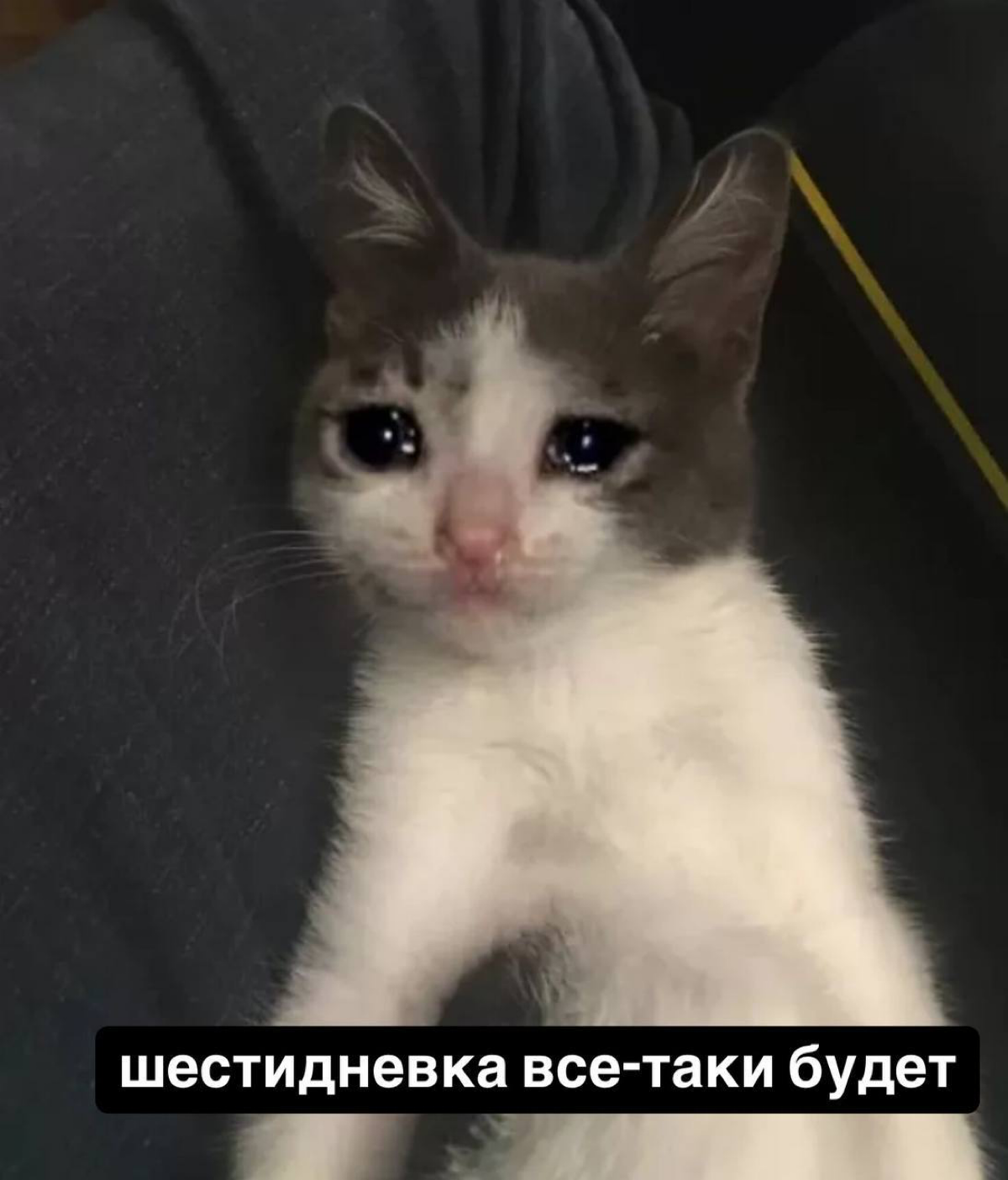 Готовимся к шестидневке перед Новым годом: чиновники решили, что 28 декабря все-таки будет рабочим. Кстати, его даже не сократят | Сетка — социальная сеть от hh.ru