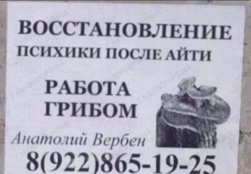 Звоним?
IT АНАЛитика | Сетка — социальная сеть от hh.ru