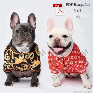 Выкройка свитшота построена на собаку породы французский бульдог 🐶 - ТРИ размера 📏 | Сетка — социальная сеть от hh.ru