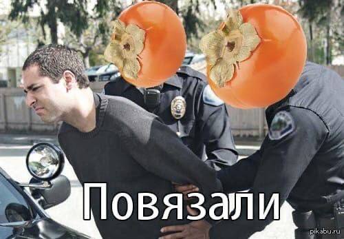 Следствие ведут колобки. Итак, важный вопрос! Про хурму | Сетка — социальная сеть от hh.ru
