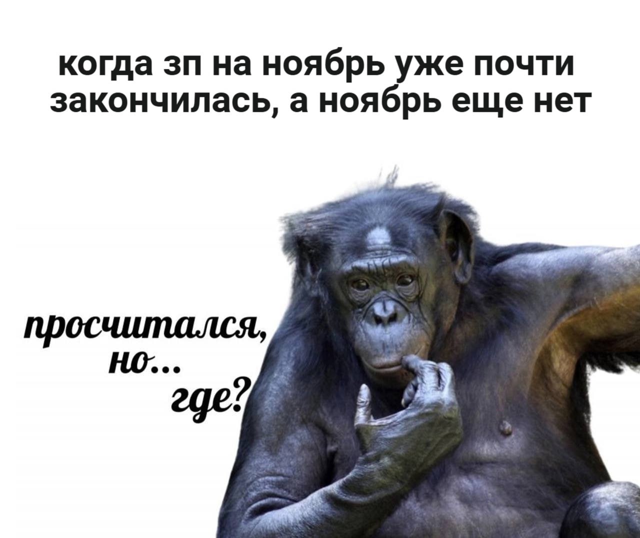 🔗 мемы в телеграм канале | Сетка — социальная сеть от hh.ru