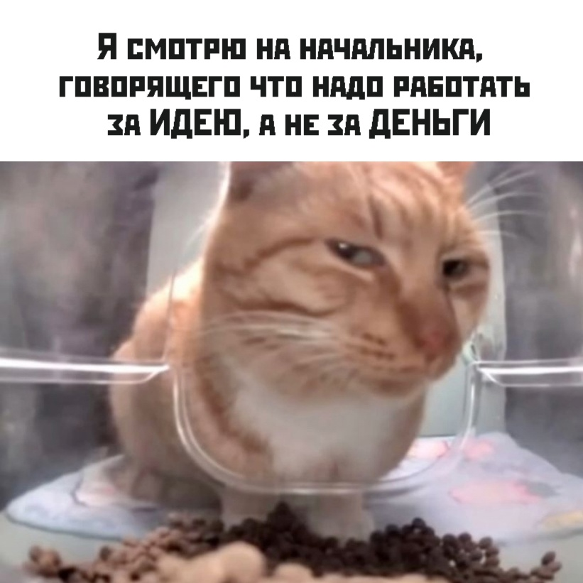 За идею начальника | Сетка — социальная сеть от hh.ru