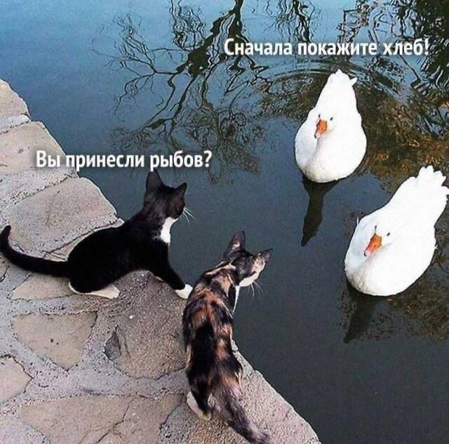 Какие у Вас зарплатные ожидания? 🤨
А какая у Вас вилка? 🤔

Вечное противостояние соискателя и работодателя! Для многих это становится моментом напряжения, но если подойти к нему с умом, Вы сможете не ... | Сетка — социальная сеть от hh.ru
