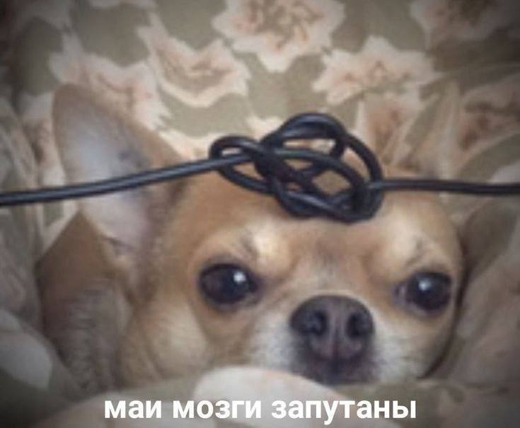 🧐 Как понять, что пора делать MVP?
Разработка MVP — это не всегда обязательный шаг, но он точно нужен в некоторых ситуациях | Сетка — социальная сеть от hh.ru