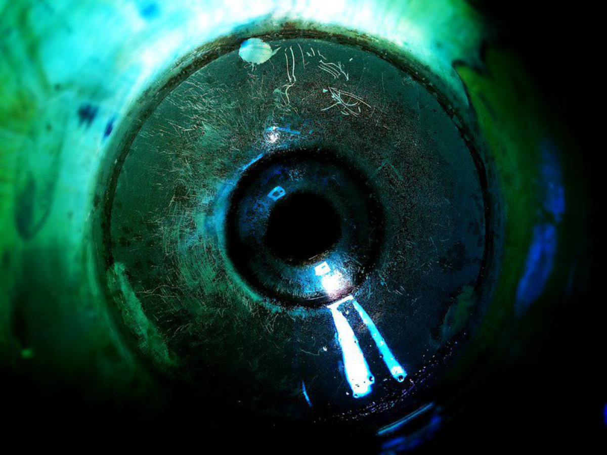 Автоматизм бытия: почему Фрейд был прав | Сетка — социальная сеть от hh.ru