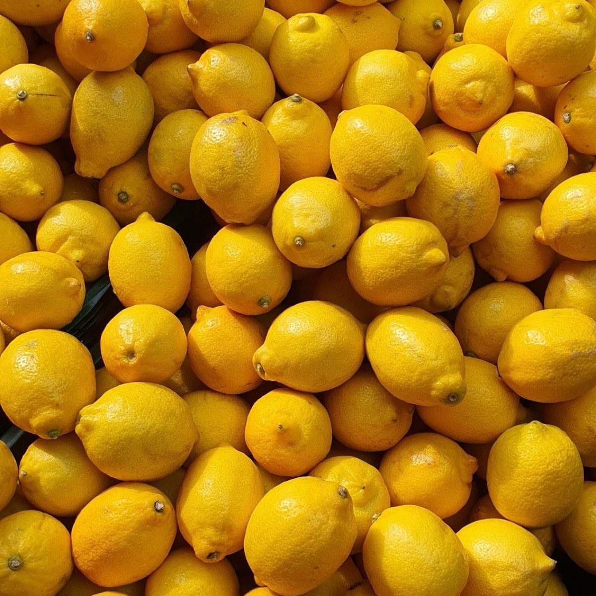 Кристина Живаева | Сетка — социальная сеть от hh.ru