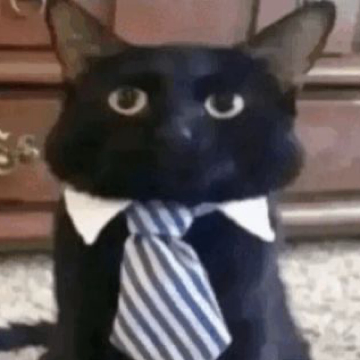 Вахид Гамидов