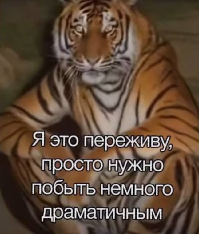 Мама себе задач напридумывала, потом нашла идеальные решения, только вот КПД реальности не учла | Сетка — социальная сеть от hh.ru