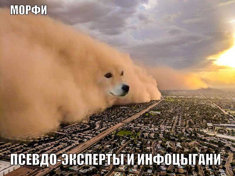 Хотите найти свое призвание и освоить новую сферу деятельности, но не хотите тратить деньги на ненадежных блогеров?
Я создал этот проект с целью
помочь людям, которые:
1️⃣ Не могут купить дорогостояще... | Сетка — социальная сеть от hh.ru