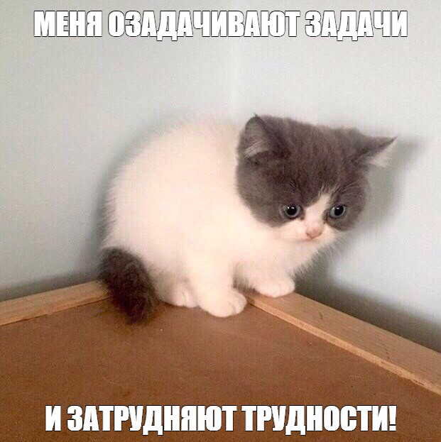 Тот самый момент когда одновременно горят 4 проекта: | Сетка — социальная сеть от hh.ru