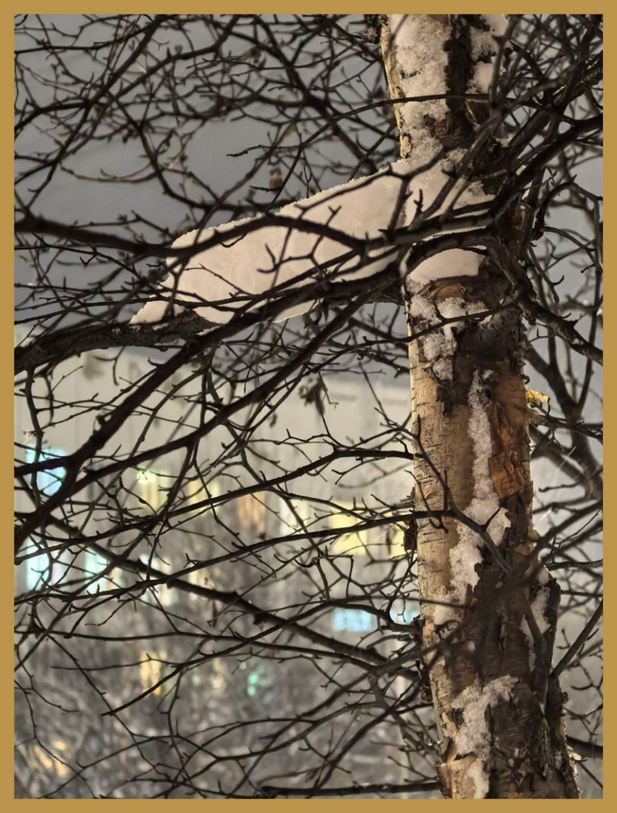 Мой Офис сквозь древесную ветвистость / My Office through the branches | Сетка — социальная сеть от hh.ru
