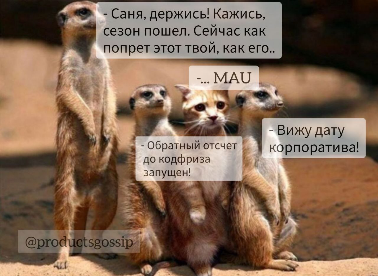 Если посчитать, то осталось всего 5 недель.  
С пятницей!  
Таня, [ex-B2B 👩‍💻]
@productsgossip | Сетка — социальная сеть от hh.ru