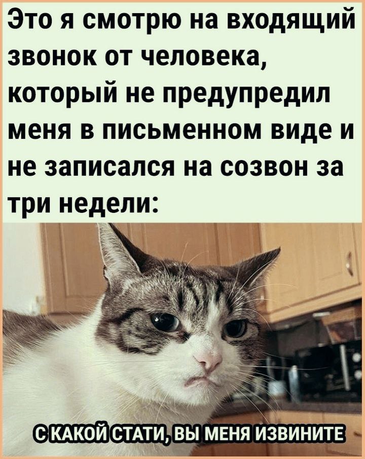 Продолжая тему рабочих коммуникаций 😅
И к главным новостям: вчера прошла установочная встреча 8ого потока Практикума для джунов.
На встречу пришло 25 человек,
16% из них - Анастасии | Сетка — социальная сеть от hh.ru