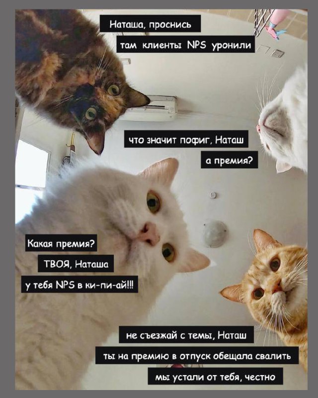 Сегодня пятница, а это значит пора обмениваться мемами! На прошлой неделе самый популярный мем был от Марии он👆
Спасибо за активность!)
Публикуй мемы в комментариях и голосуй за другие любой реакцией | Сетка — социальная сеть от hh.ru