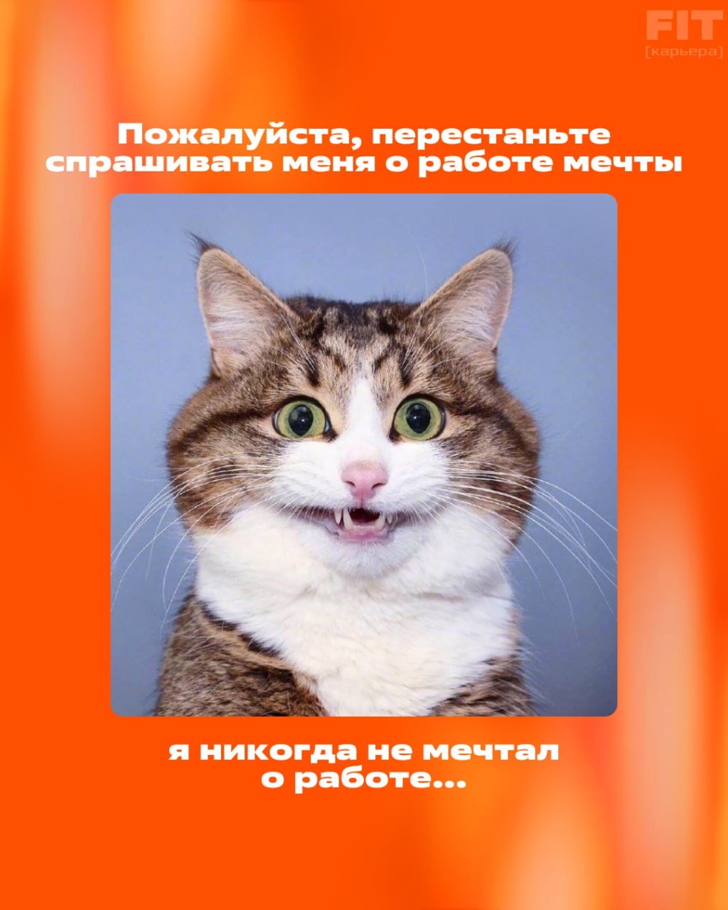 «Кем я стану, когда вырасту»
Помнишь то самое сочинение в школе?
Многие из нас мечтали быть космонавтами, врачами, учителями или даже супергероями ✨
А кем ты мечтал стать в детстве?
Выбирай свой вариа... | Сетка — социальная сеть от hh.ru