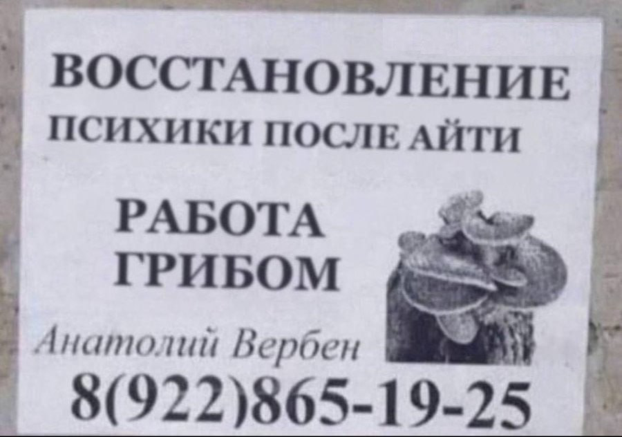 Может свой номер оставить? Вообщем пишите | Сетка — социальная сеть от hh.ru