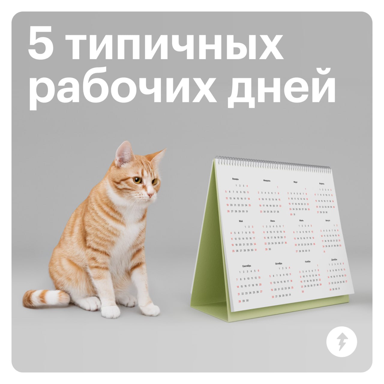 Как же иногда хочется, чтобы дела не валились горой
100% понимания и 0% осуждения, коллеги | Сетка — социальная сеть от hh.ru