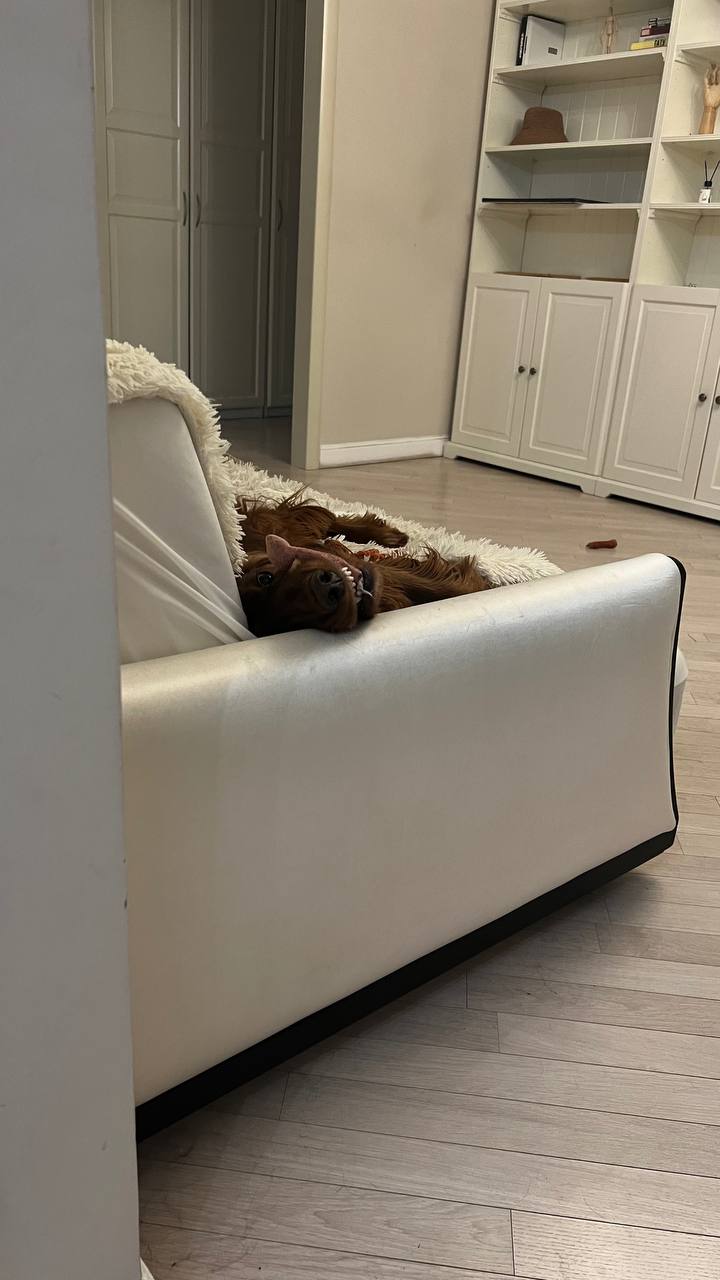 🎉 Пятница настала, а это значит, что пора выдохнуть и... задуматься о вечном | Сетка — социальная сеть от hh.ru