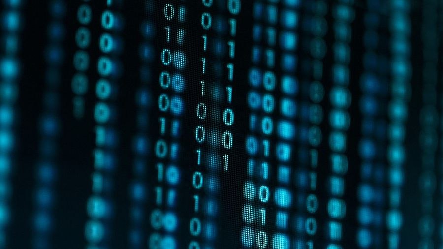 Рост на крипторынке продолжится: биткоин и Sui обновляют исторические максимумы | Сетка — социальная сеть от hh.ru