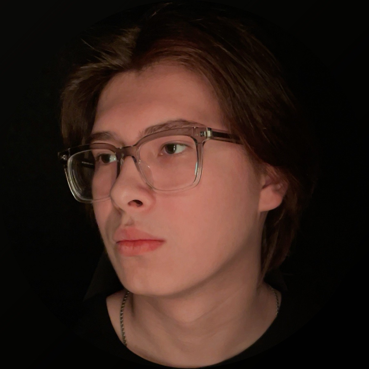 Максим Лянгузов | Сетка — социальная сеть от hh.ru