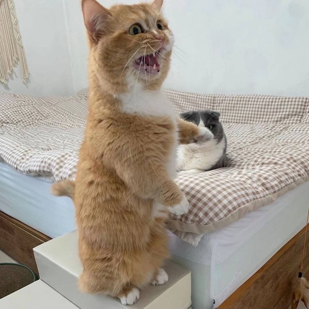 Михаил Карпов