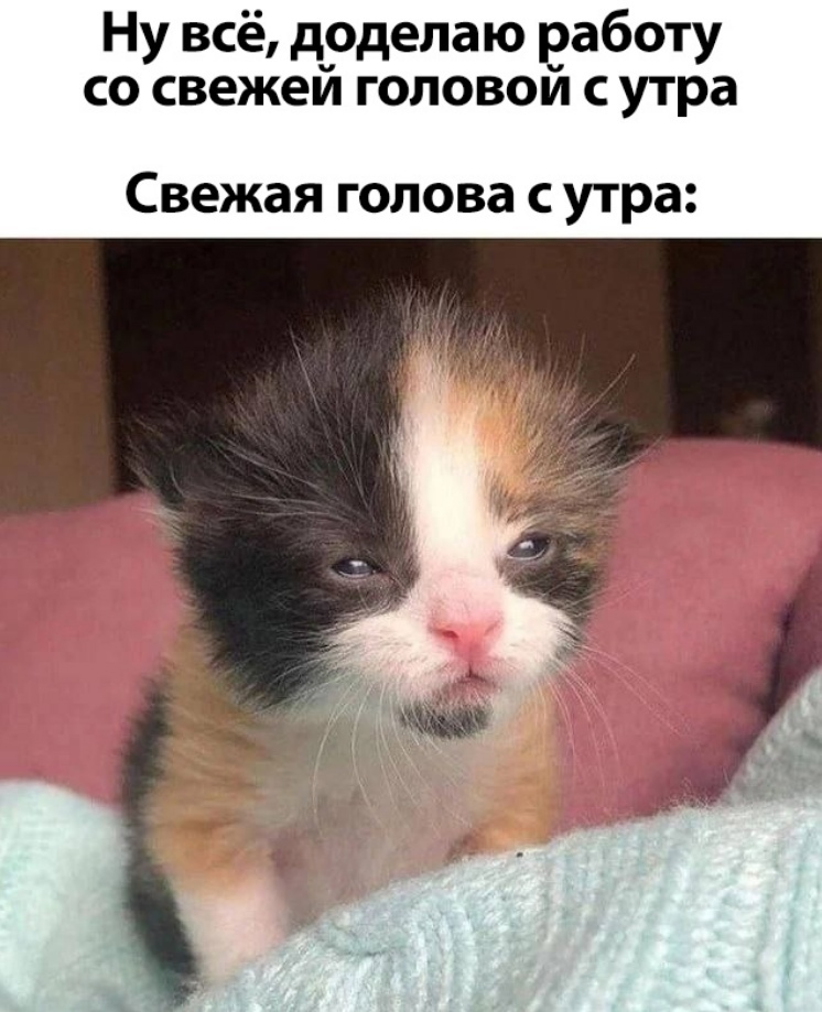 Кофейку бахнуть и нормально 😂 | Сетка — социальная сеть от hh.ru