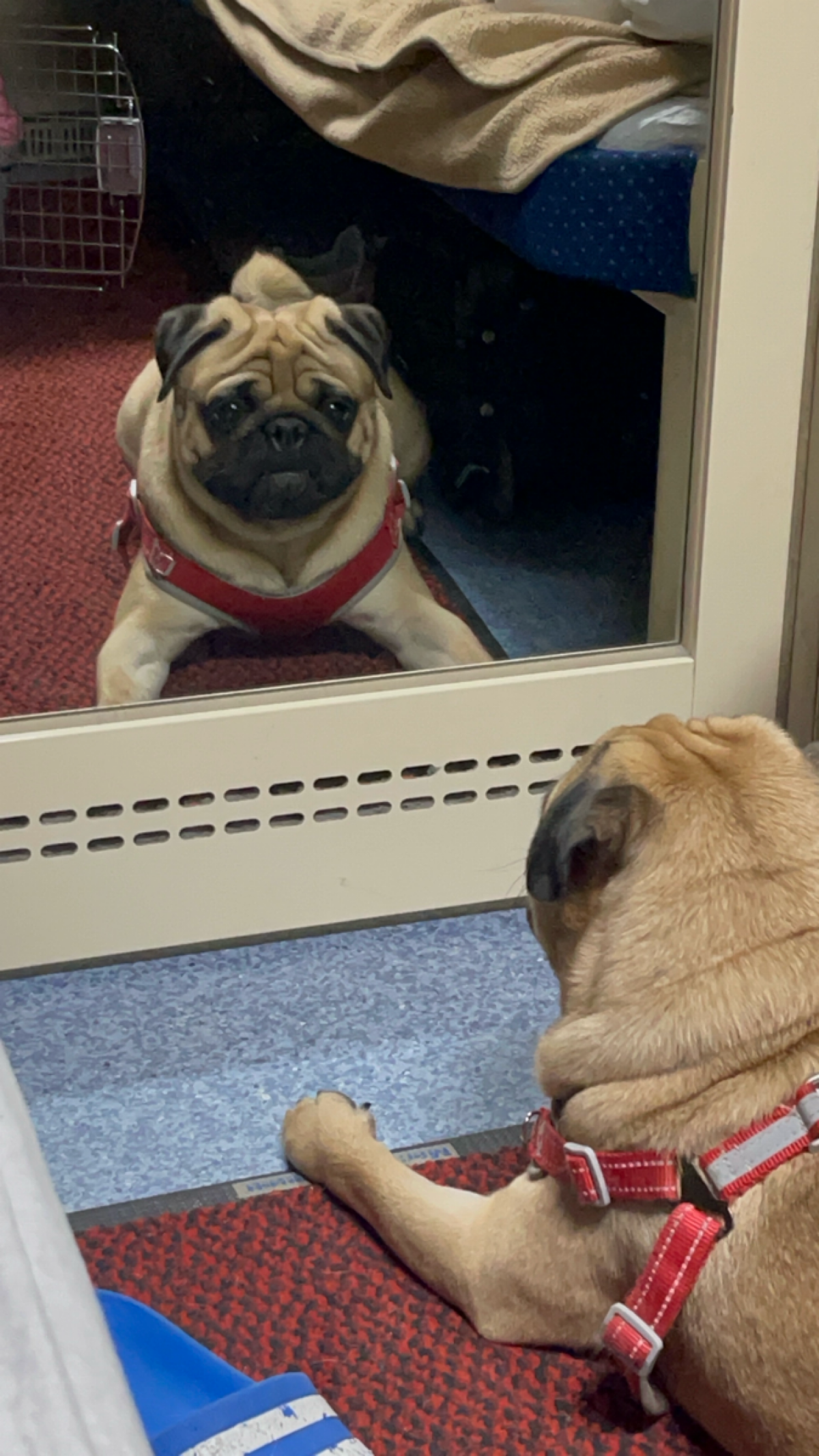 Озонщики  - логистика 👇🏻📦 | Сетка — социальная сеть от hh.ru