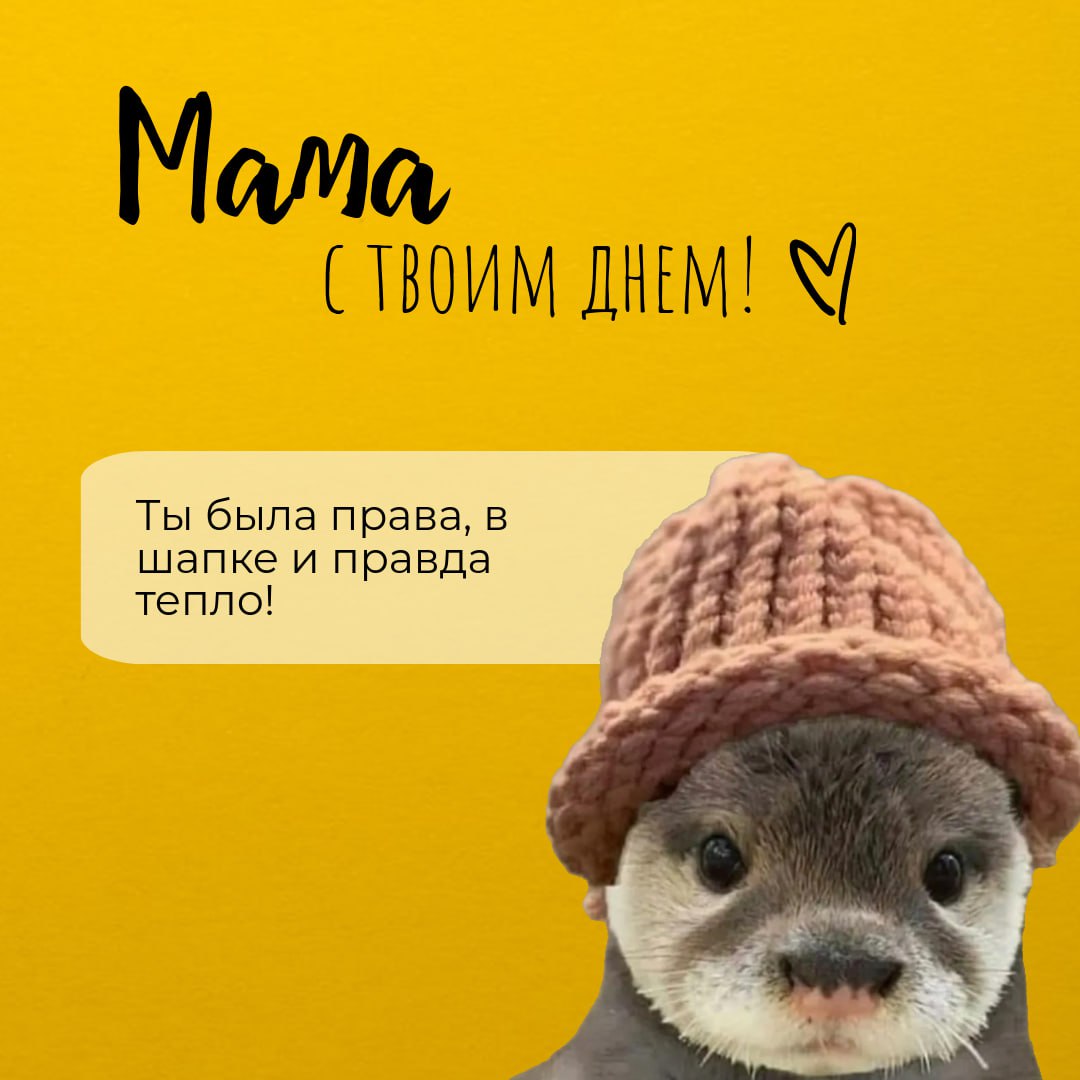 Сегодня - день Мамы ❤️
Поздравьте любимых ✨
А в карточках - открытки для мам | Сетка — социальная сеть от hh.ru