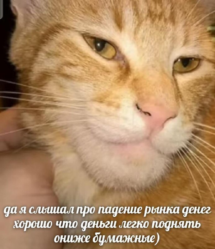 🔗 мемы в телеграм канале | Сетка — социальная сеть от hh.ru