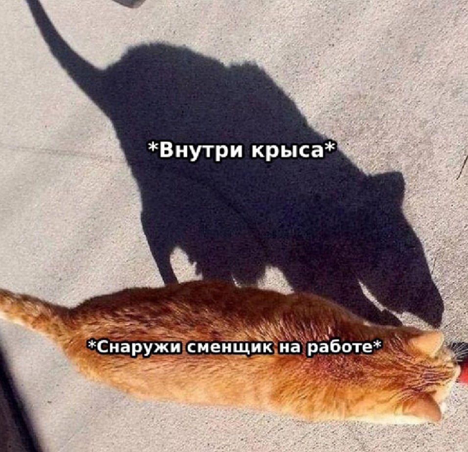 🔗 мемы в телеграм канале | Сетка — социальная сеть от hh.ru