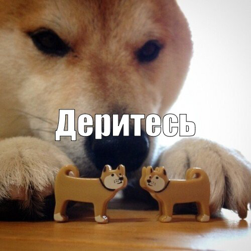 comment image