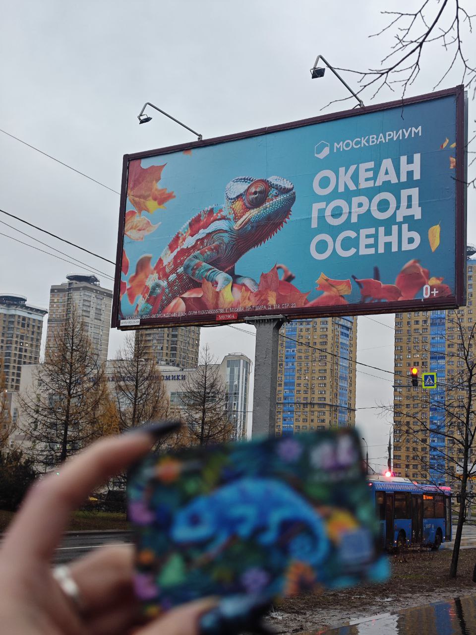 Москвариум проводит рекламную кампанию с популярными обитателями океанариума: капибарой, хамелеоном и аксолотлем | Сетка — социальная сеть от hh.ru