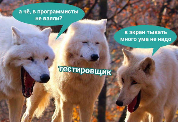 Задачи тестировщика | Сетка — социальная сеть от hh.ru
