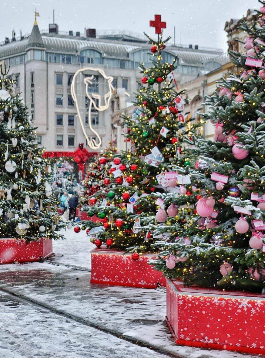 🎄С 14 декабря начнется фестиваль «Путешествие в Рождество»14 декабря - 12 января
Каждый год деревья украшают дизайнеры, художники и студенты творческих вузов, стараясь сделать свои деревья максимально... | Сетка — социальная сеть от hh.ru