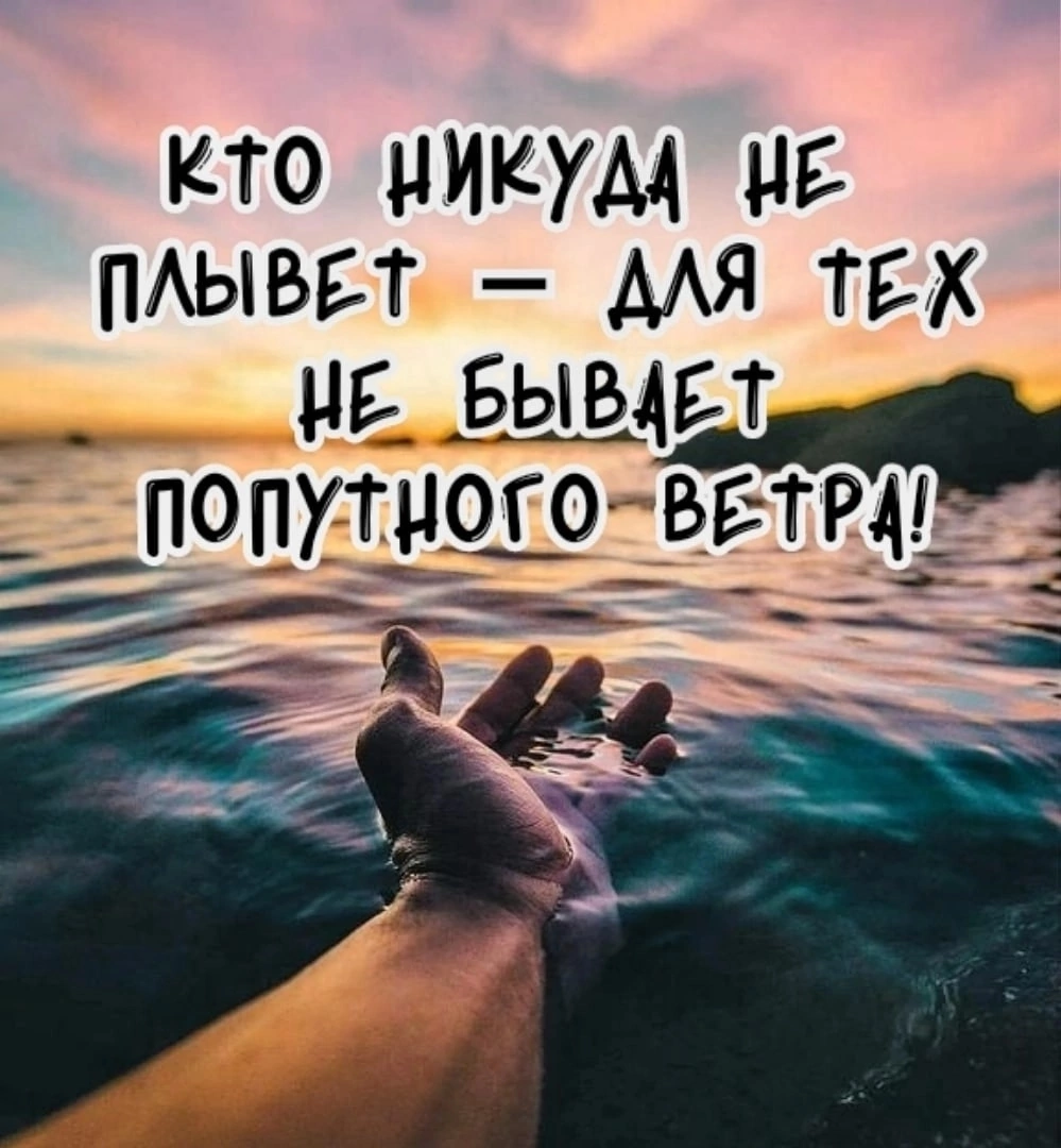 https://everve.net/ref/1787914/ | Сетка — социальная сеть от hh.ru