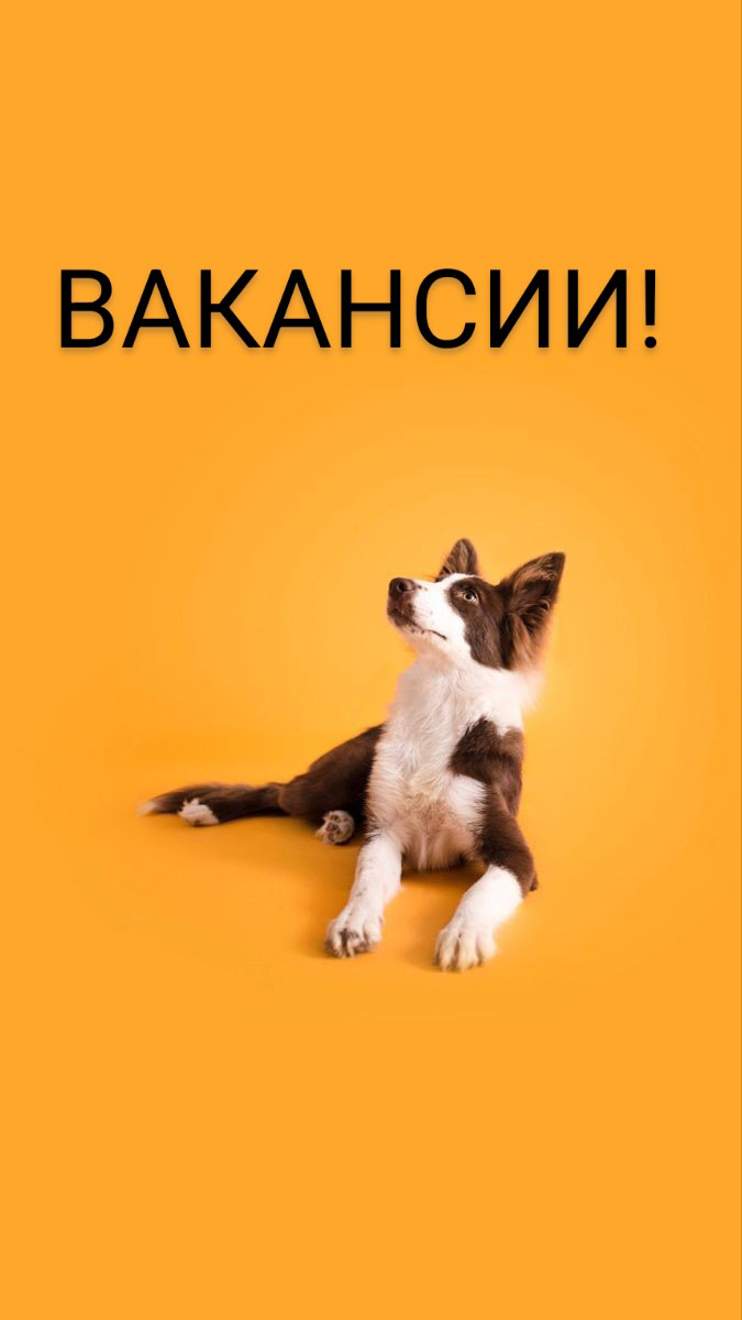 Все #вакансии в Москве, в некоторых возможен гибридный, проектный формат работы | Сетка — социальная сеть от hh.ru