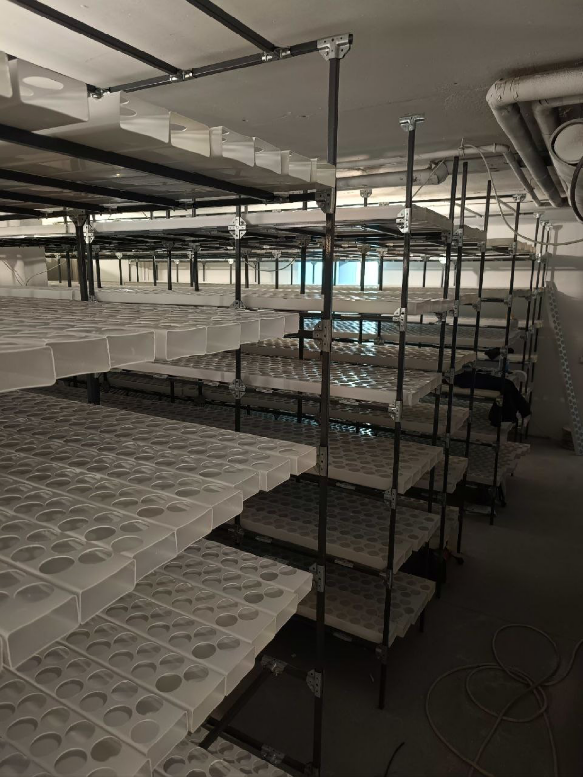 И в Новосибирске работа не стоит)
Через 2-3 недели поеду запускать рассадное отделение на 1500 кг пряных в месяц, пока что самый крупный и сложный проект после Москвы)
Внедряю проточную гидропонику (с... | Сетка — социальная сеть от hh.ru