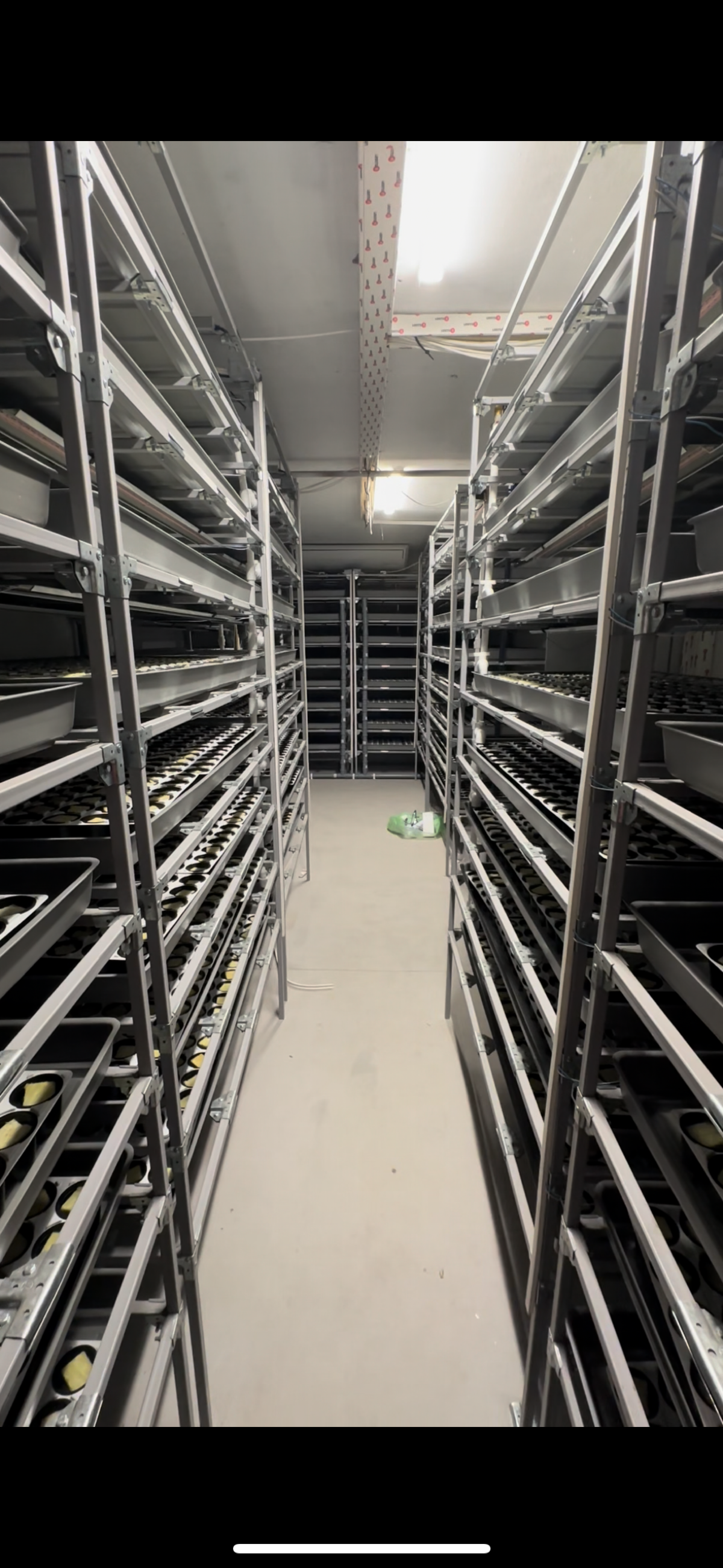 И в Новосибирске работа не стоит)
Через 2-3 недели поеду запускать рассадное отделение на 1500 кг пряных в месяц, пока что самый крупный и сложный проект после Москвы)
Внедряю проточную гидропонику (с... | Сетка — социальная сеть от hh.ru