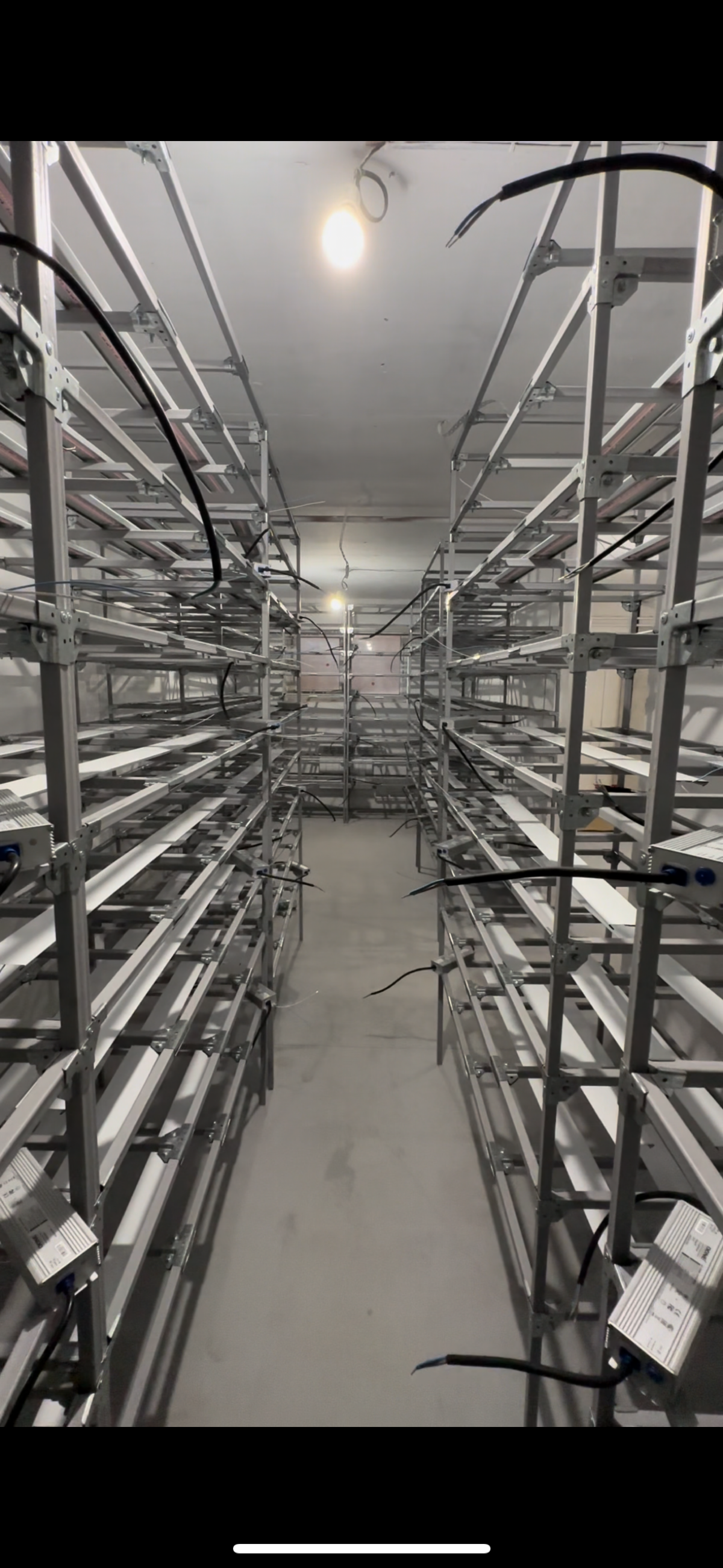 И в Новосибирске работа не стоит)
Через 2-3 недели поеду запускать рассадное отделение на 1500 кг пряных в месяц, пока что самый крупный и сложный проект после Москвы)
Внедряю проточную гидропонику (с... | Сетка — социальная сеть от hh.ru