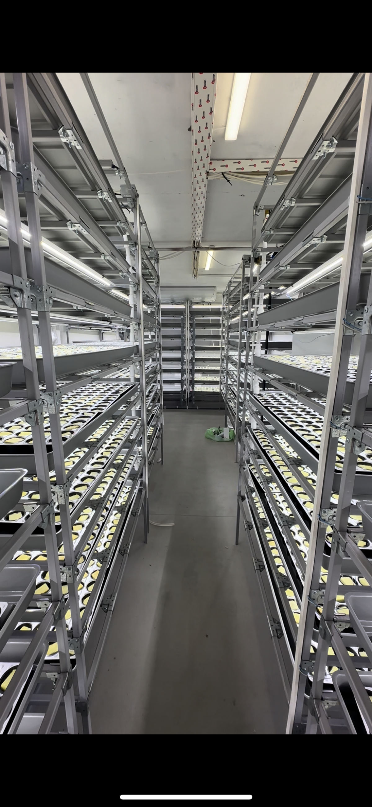 И в Новосибирске работа не стоит)
Через 2-3 недели поеду запускать рассадное отделение на 1500 кг пряных в месяц, пока что самый крупный и сложный проект после Москвы)
Внедряю проточную гидропонику (с... | Сетка — социальная сеть от hh.ru