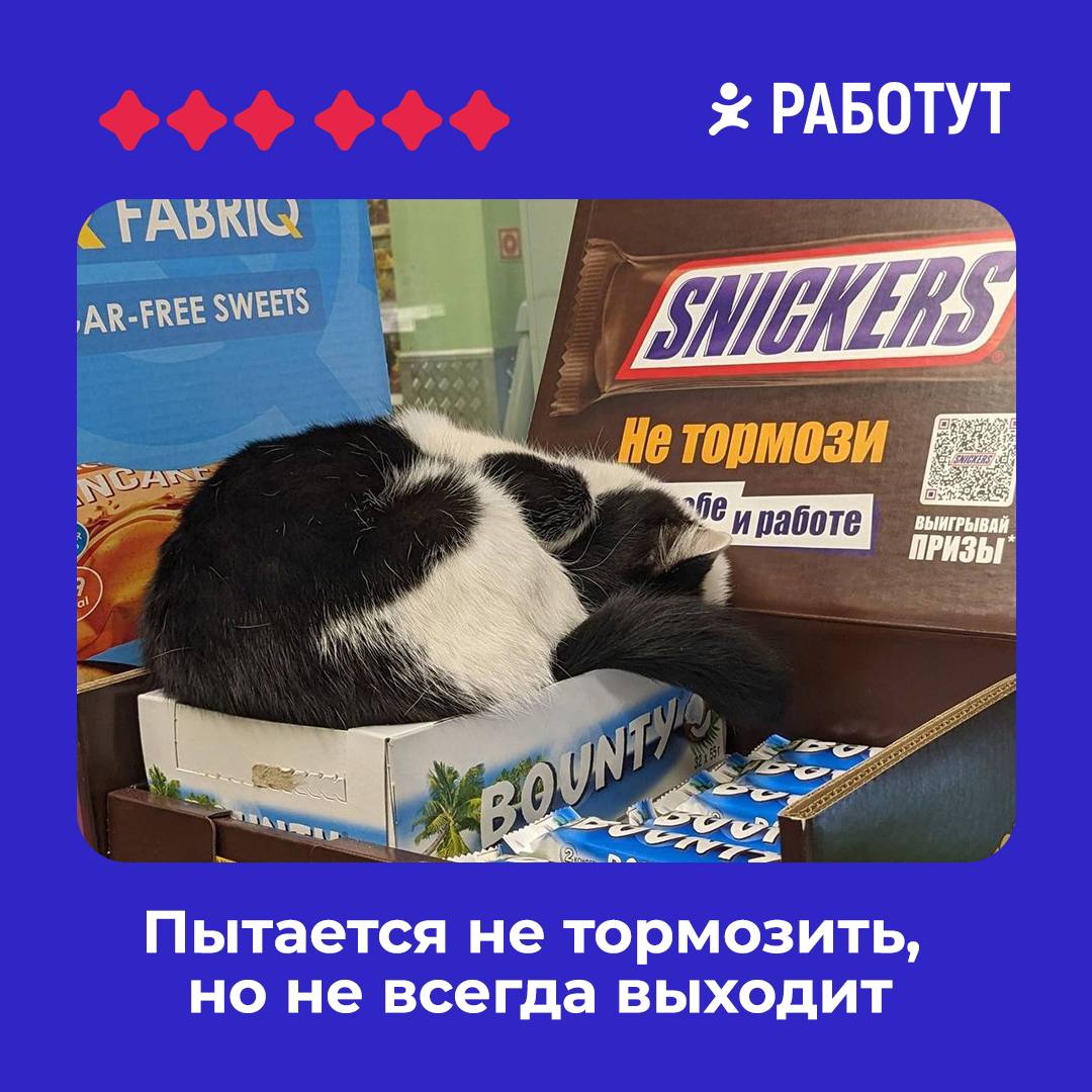 Три типа мерчендайзеров на Работе 😄
Устаёте, не понимаете, что происходит или выкручиваетесь из любой ситуации? 🤔
#мемыработут | Сетка — социальная сеть от hh.ru