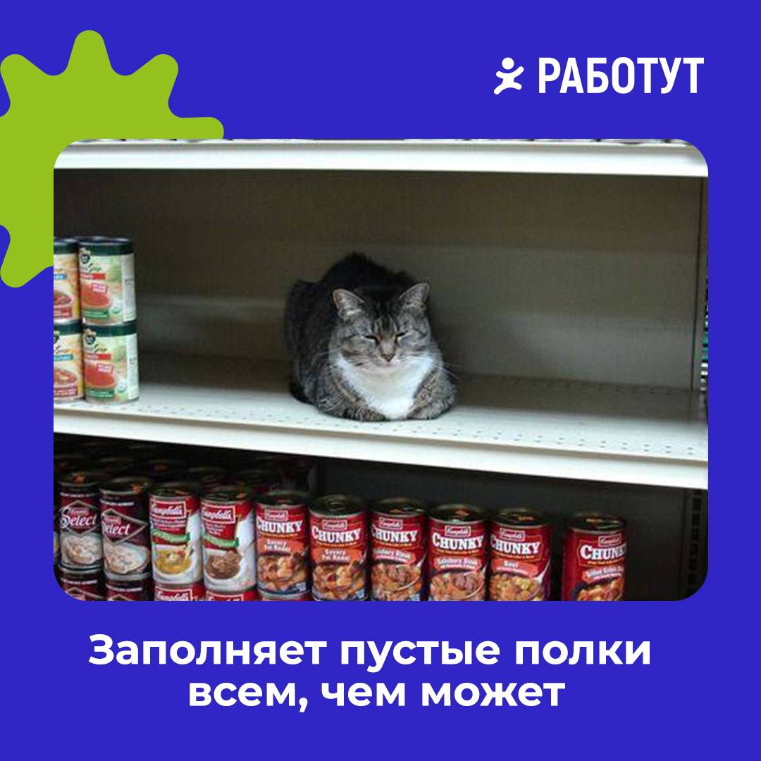 Три типа мерчендайзеров на Работе 😄
Устаёте, не понимаете, что происходит или выкручиваетесь из любой ситуации? 🤔
#мемыработут | Сетка — социальная сеть от hh.ru