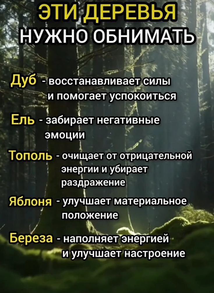 Плезняшки для вас | Сетка — социальная сеть от hh.ru