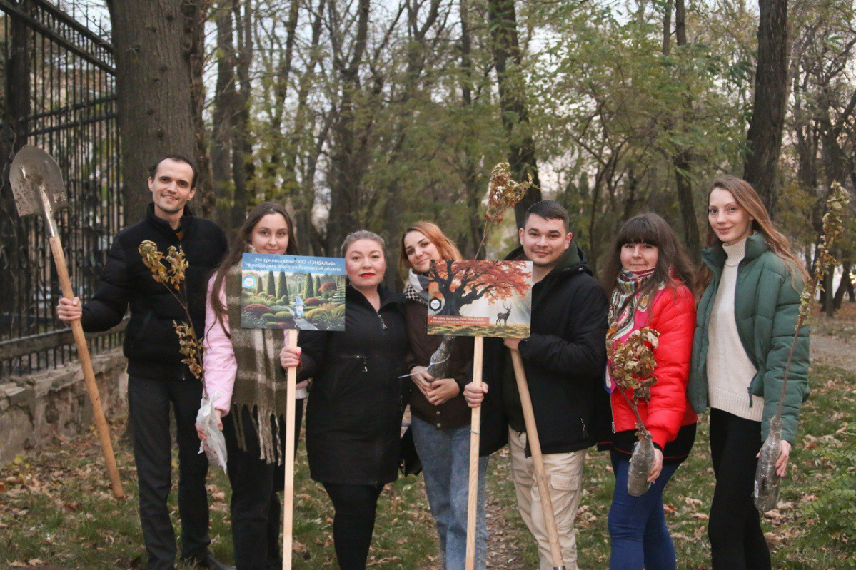 🌳 21 ноября Департамент комплексного сопровождения (ООО «ГЭНДАЛЬФ») в поддержку экологии Ростовской области высадил десять кленов в Парке имени Октябрьской революции | Сетка — социальная сеть от hh.ru