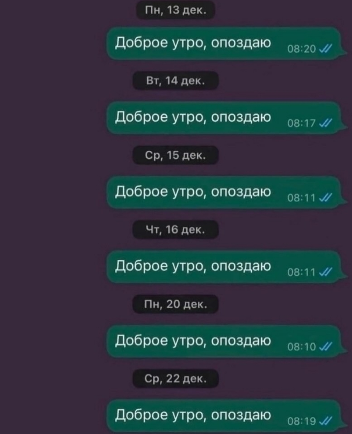 С - стабильность | Сетка — социальная сеть от hh.ru