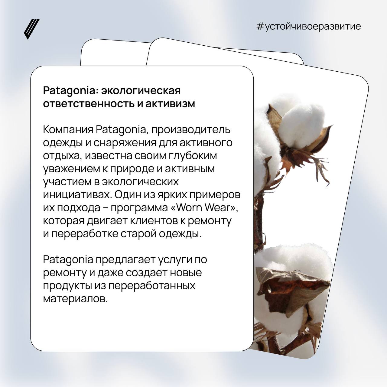 Устойчивое развитие: примеры компаний, внедривших экологические инициативы
В последние десятилетия устойчивое экологическое развитие стало одной из ключевых тем в бизнесе и обществе | Сетка — социальная сеть от hh.ru