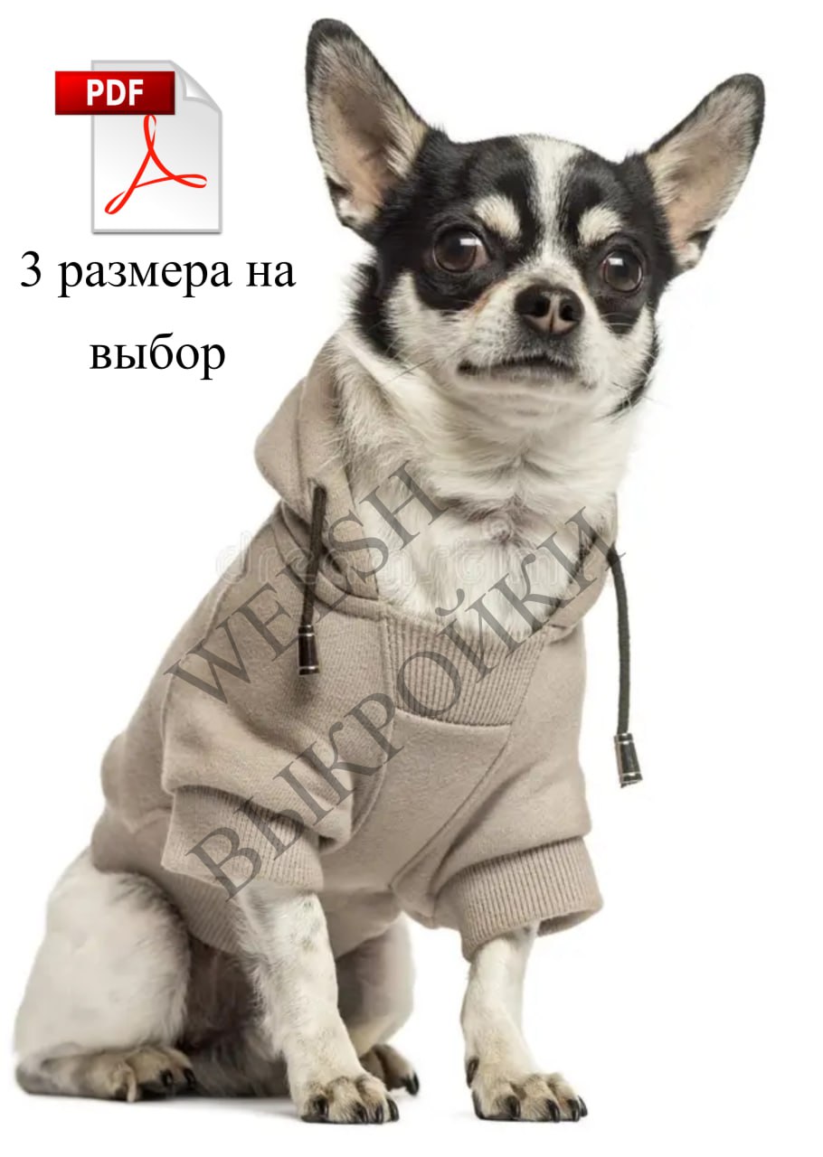 🧵 Выкройка худи разработана для собак породы чихуахуа, йоркширский терьер, шпиц, пудель | Сетка — социальная сеть от hh.ru