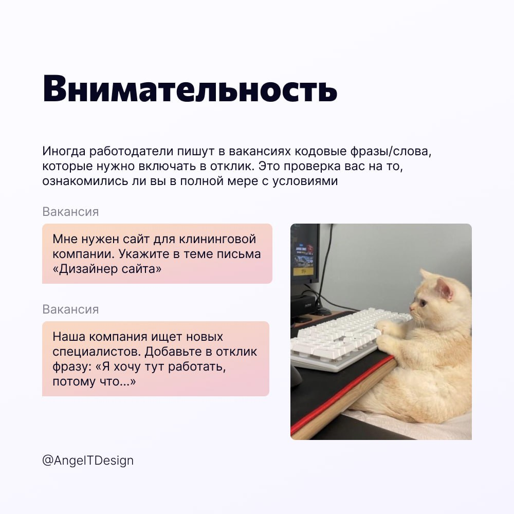 Как правильно писать отклики | Сетка — социальная сеть от hh.ru