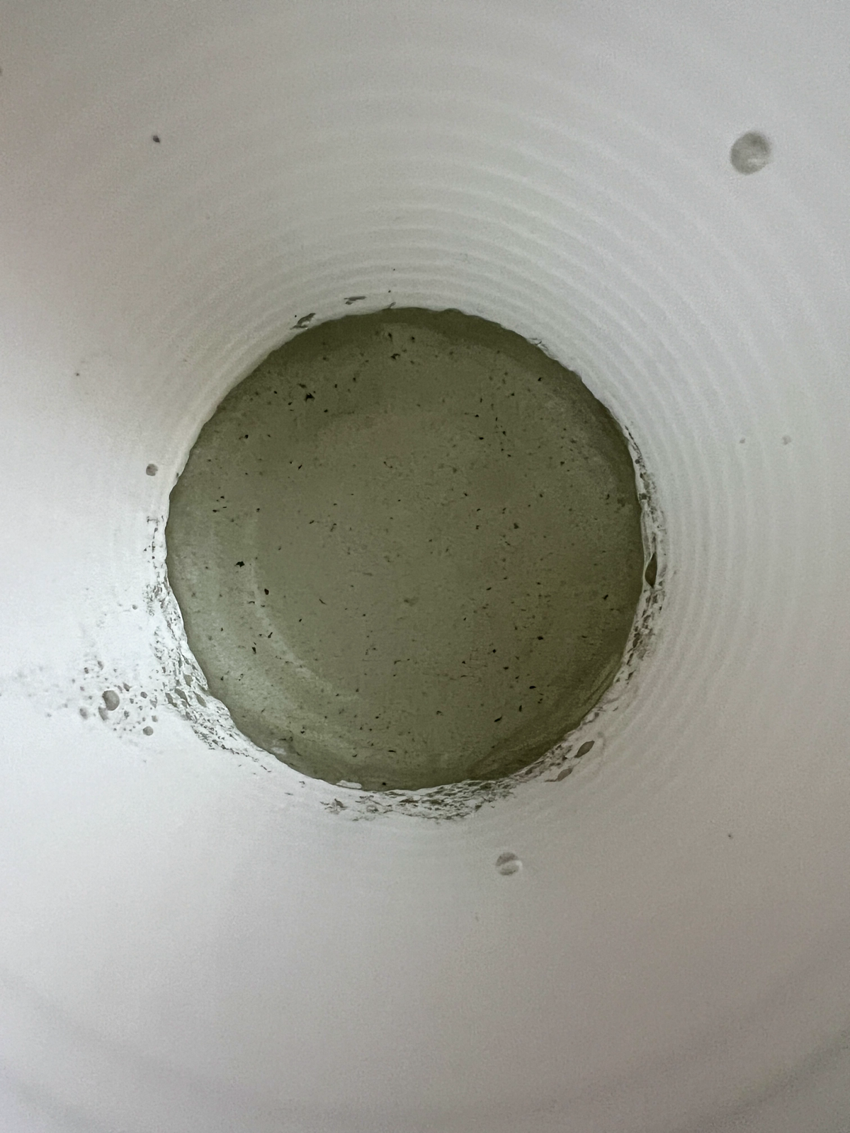 Сыр | Сетка — социальная сеть от hh.ru